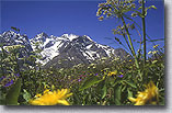 Choisir parmi les cartes de montagne en �t�