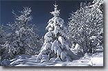 Choisir parmi les cartes de montagne en hiver